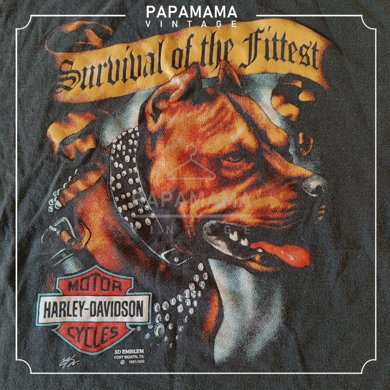 HARLEY-DAVIDSON @1991 Bio Washed หมาดุ ป้ายฮาเลย์ รูปที่ 4