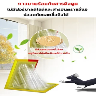 ☠️🐭รุ่นหนาขึ้นอัพเกรด กาวดักหนู กับดักหนู กําจัดหนู อุปกรณ์กำจัดหนูมืออาชีพยี่ห้อเก่ากว่า 30 ปี กกาวนำเข้าจากเยอรมัน