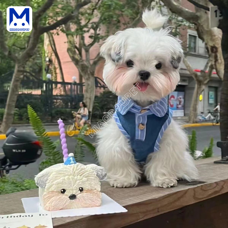 เสื้อโปโลยีนส์สุนัขสไตล์ใหม่ชุดสุนัขขนาดเล็กเสื้อผ้าแมว
