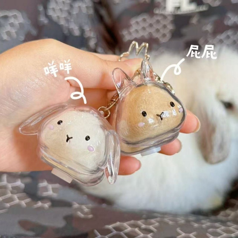 กล่องเก็บผมกระต่ายใสแขวน Gaunt Rabbit Hair Storage Capsules แพ็คเกจสะสมที่ระลึก แพ็คเกจพวงกุญแจ แขวน