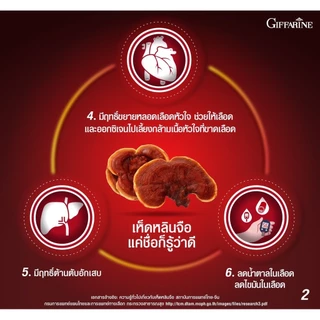 เห็ดหลินจือ แดงสกัด คุณภาพสูง กิฟฟารีน LING ZHI GIFFARINE บำรุงร่างกาย บำรุงไต ระบบภูมิคุ้มกัน