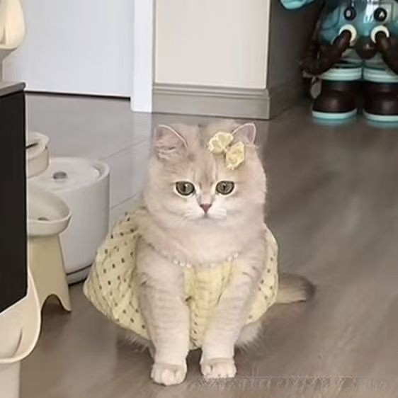 รูปภาพ 2