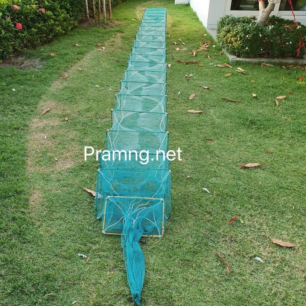 ลอบดักกุ้งจีน(ไซหนอน) 19x31-40x60เซน (1.3เซน-2.5เซน) ยาว9เมตร