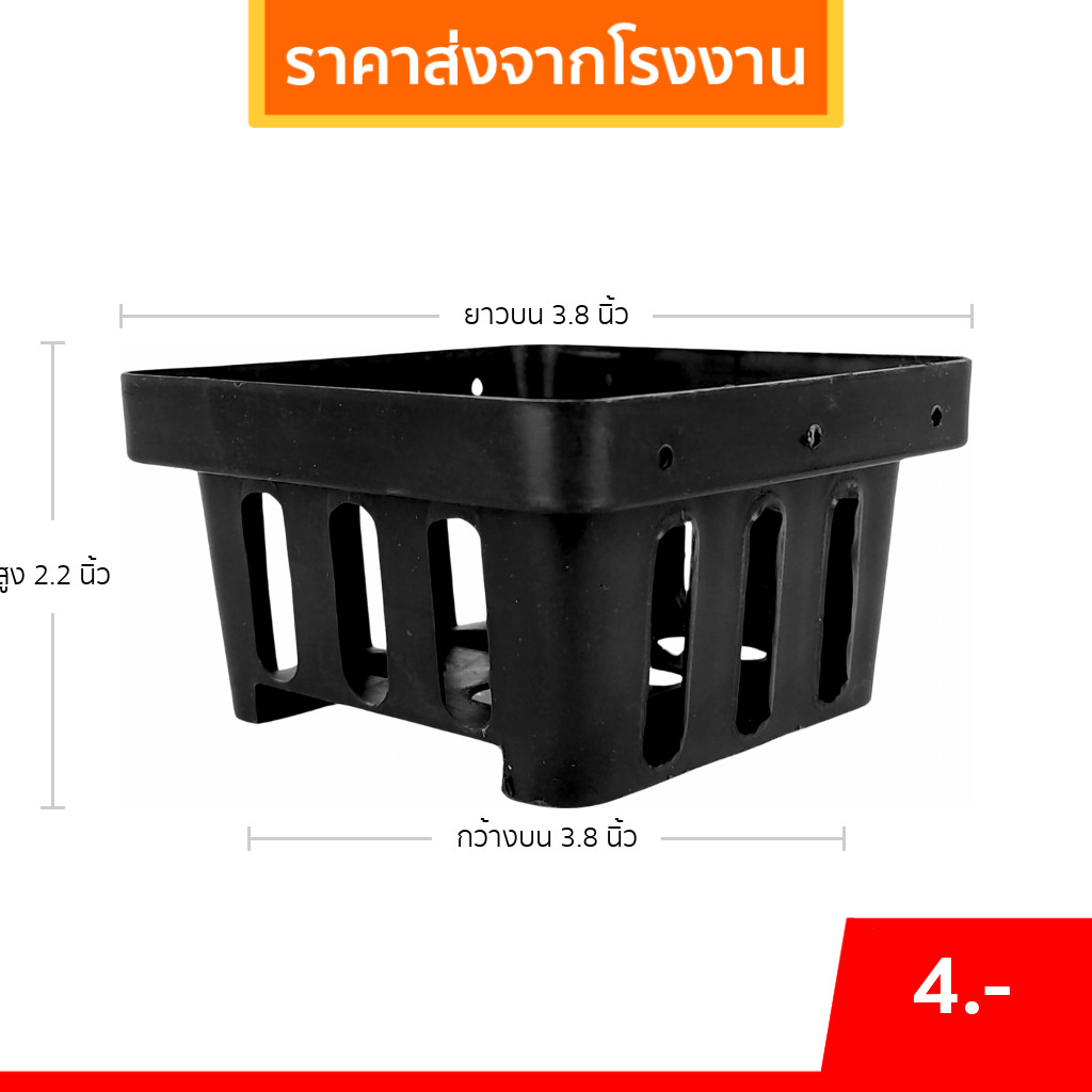 กระถาง กระถางกล้วยไม้ กระถางแขวน สี่เหลี่ยม 4 นิ้ว Bundle 50 ใบ