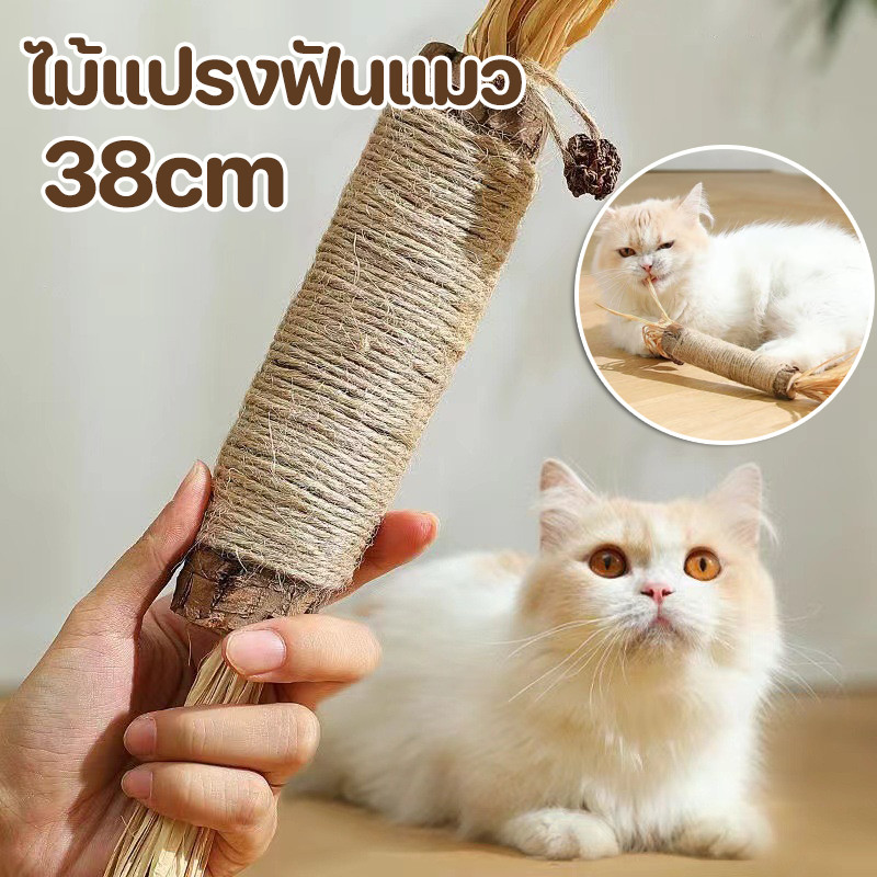 😽COD😽 ไม้แปรงฟันแมว ไม้มาทาทาบิ อันใหญ่มาก  38CM ขัดฟันไม้ ไม้ขัดฟันแมว ลดคราบหินปูน ก้านมาทาทาบิ ของเล่นแมว