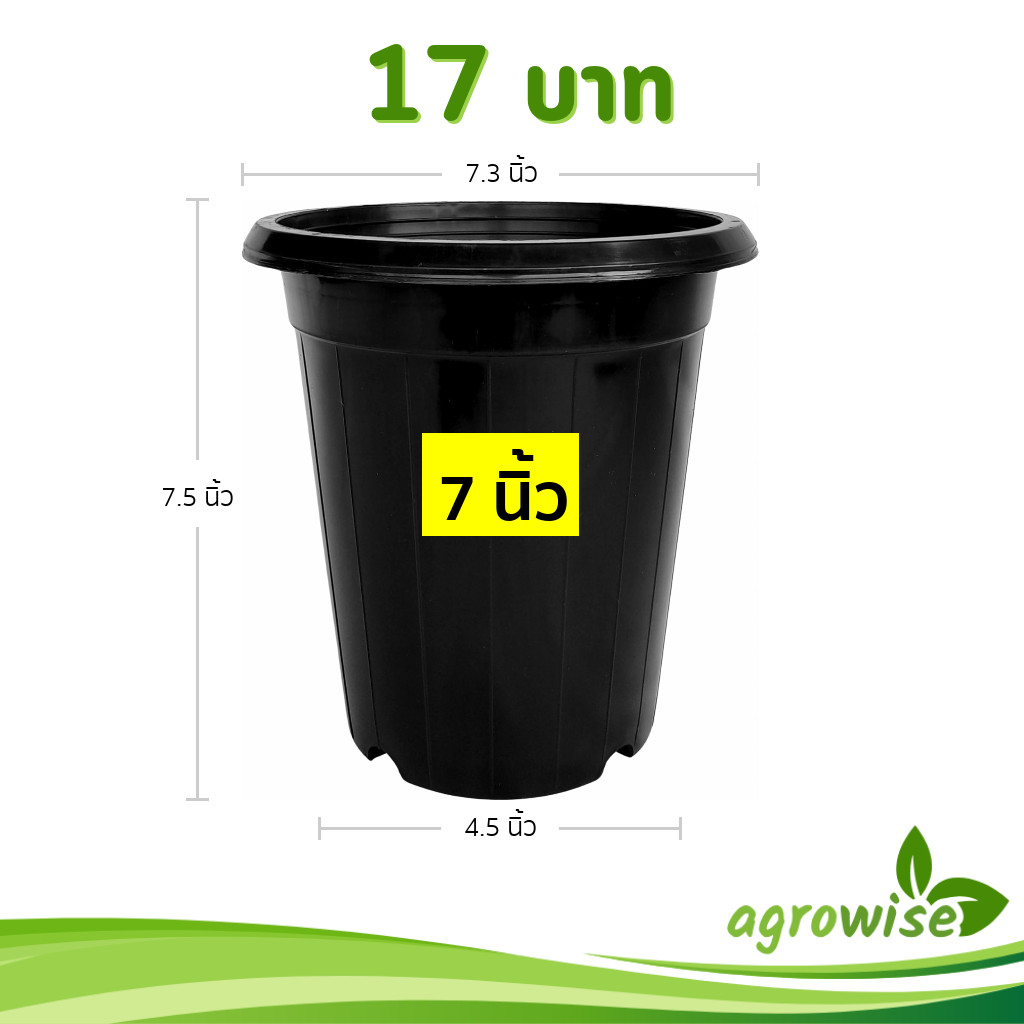 กระถาง แคคตัส ไม้กราฟ ทรงสูง 7 7.3 8 นิ้ว สีดำ Bundle 50 ใบ