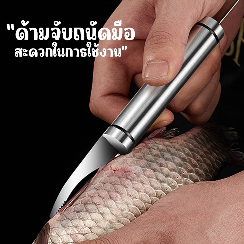 มีดปอกเปลือกกุ้งอเนกประสงค์ 304 สแตนเลส - รูปที่ 4