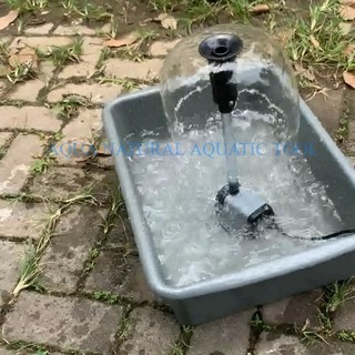 PAKET POMPA AIR MANCUR TIPE PAYUNG JAMUR kolam ikan mini taman