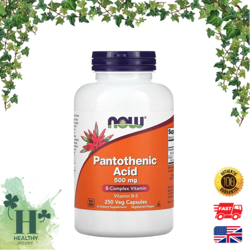 พร้อมส่ง NOW Foods Pantothenic Acid 500 mg 100 Veg Capsules Vitamin B-5 วิตามินบี 5