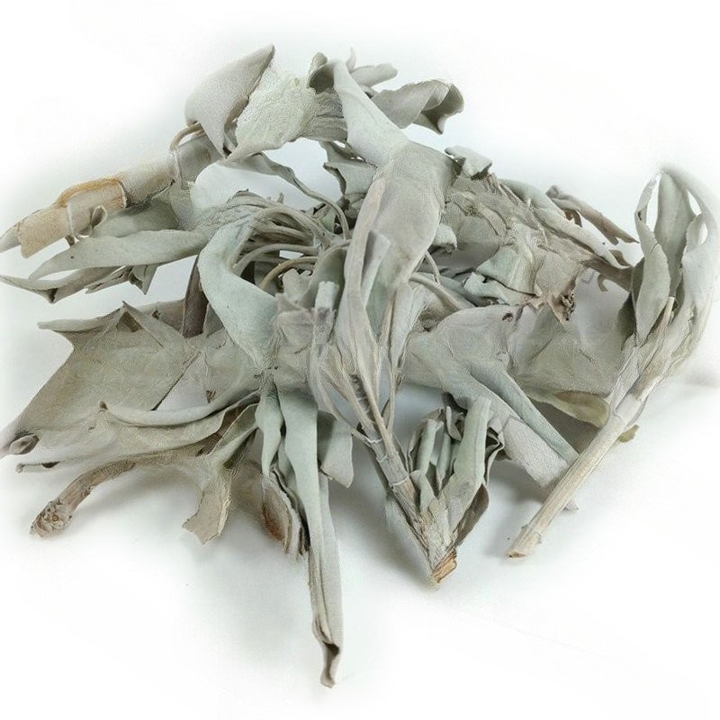 อบแห้ง California Sage Space Cleaning Whitening hi Dry tege500g Smoked Leaf wsa American Broken Leaf