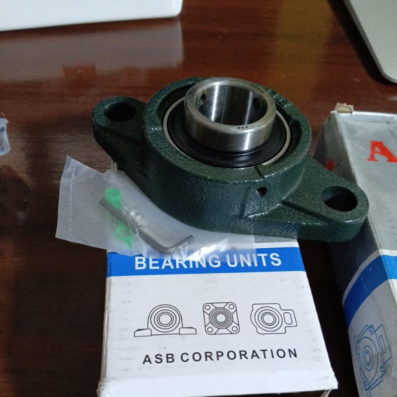 BEARING PILOW UCFL 206,207,208