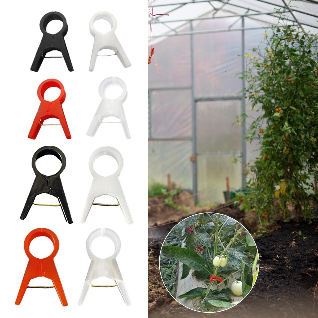 [txejgi] 100 ชิ้นสวนพืชสนับสนุนคลิป Trellis คลิป Clamps แตงกวาผัก Stem คลิปสําหรับพืชปีนเขา