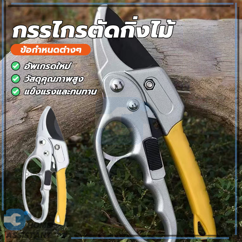 กรรไกรพิเศษสำหรับสาขาผลไม้ กรรไกรสแตนเลส กรรไกรตัดกิ่งไม้ ตัดเรียบ อายุการใช้งานยาวนาน น้ำหนักปานกลาง