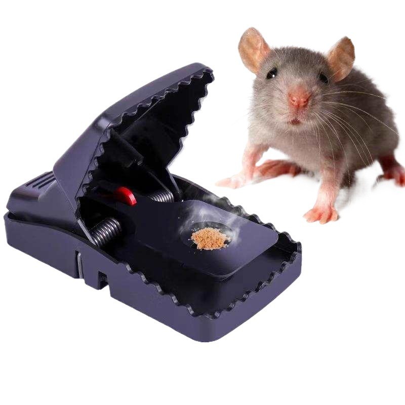 ที่ดักหนู แบบสปริง อุปกรณ์ดักหนู เหยื่อดักหนู สารกำจัดหนู กับดักหนูสปริง mouse traps ใช้ซ้ำได้ ความไวสูง
