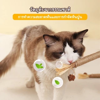 ไม้แมวเมา อันใหญ่ ของเล่นแมว ไม้มาทาทาบิ ของเล่นเเมว มาทาทาบิ มาทาบิ ลดคราบหินปูน ขัดฟันแมว