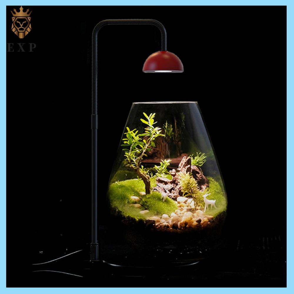 [explosion1.th] ไฟมอสพืชพร้อมไฟปรับความสูง Timmer สําหรับเดสก์ท็อปพืช Terrarium