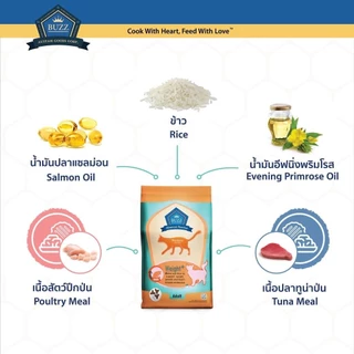 [ 3 kg. ] Buzz Balanced Plus+ อาหารเม็ดแมว บัซซ์ สูตรบำรุง สำหรับลูกแมวแม่แมว และแมวโต1ปีขึ้นไป ทุกสายพันธุ์ ขนาด 3 Kg.