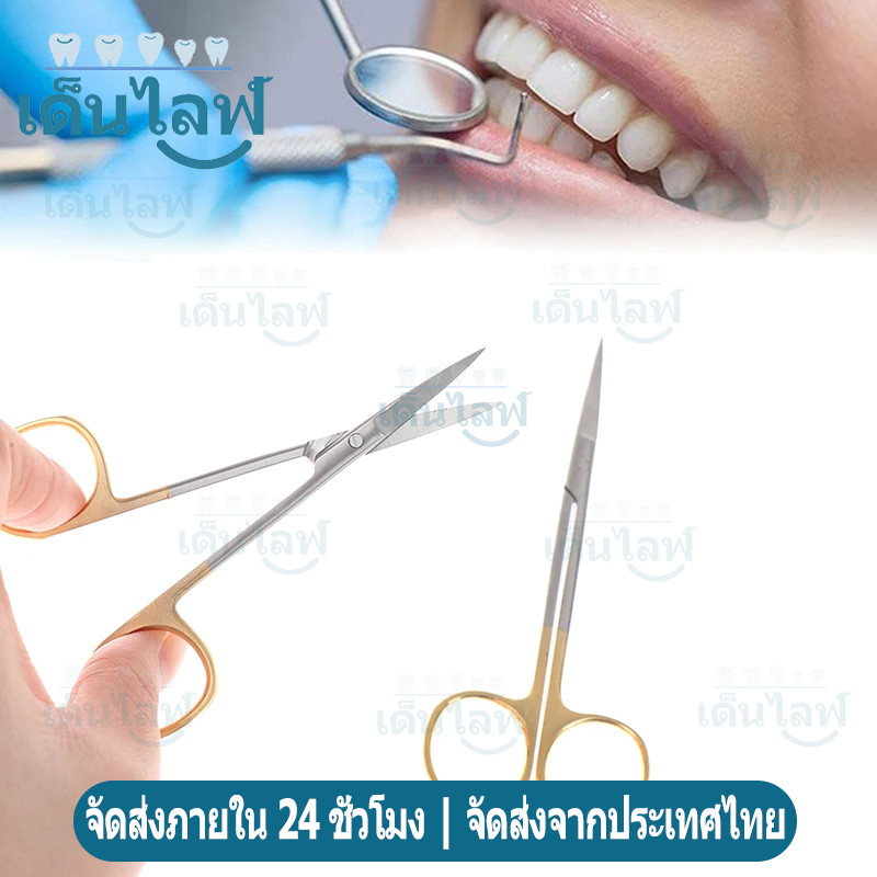 ตรง/โค้ง กรรไกรผ่าตัด เครื่องมือกรรไกรสำหรับการผ่าตัดทันตกรรม ขนาด Dental Scissors