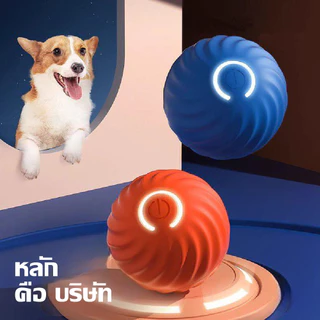 ลูกบอลไฟฟ้าอัตโนมัติ-พอร์ต-USB-สําหรับฝึกสุนัข-แมว