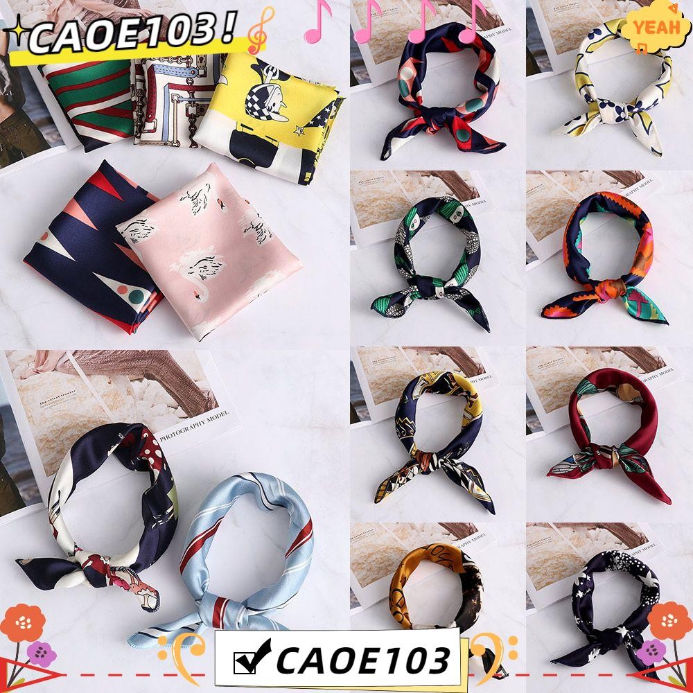 CAOE Silk Feel Satin Elegant Fashion Head-Neck Tie Hair Band Bags Tie Bandana