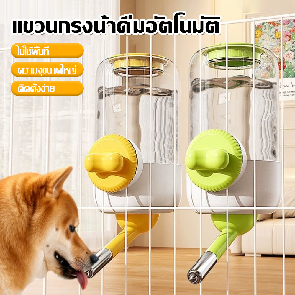 ที่ให้น้ำสัตว์เลี้ยง 🐾 แมว 🐱 สุนัข 🐶 เครื่องให้น้ำติดผนัง 🛠️ ขวดน้ำและอุปกรณ์ให้น้ำดื่มสัตว์เลี้ยง 💧