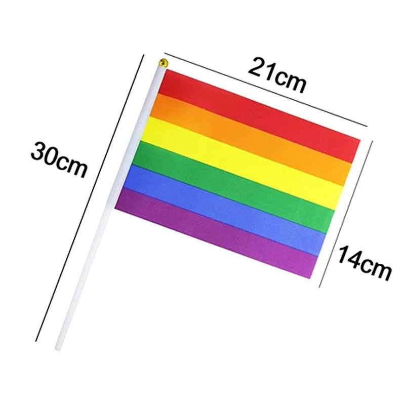 ธง หลากหลายทางเพศ ธงสีรุ้ง สีรุ้ง ขนาดเล็ก แบบพกพา สําหรับตกแต่งปาร์ตี้ 10 ชิ้น - รูปที่ 3