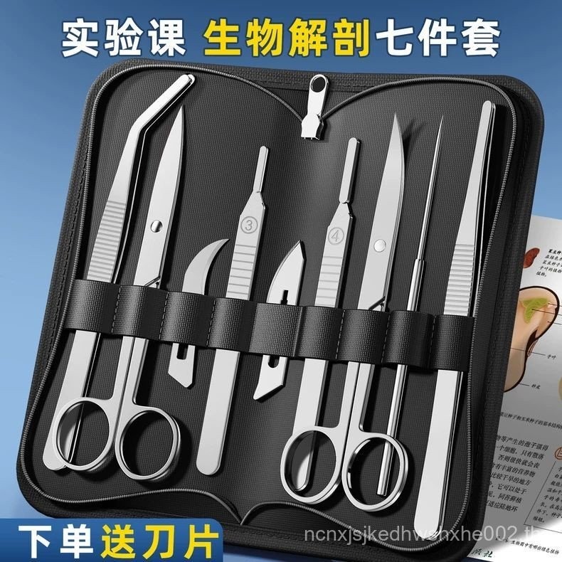 Biological Anatomy อุปกรณ์ 7 ชิ้นเจ็ดชิ้นชุดสแตนเลสแมลงตัวอย่างทําเครื่องมือ Anatomy เข็ม Probe กรรไ