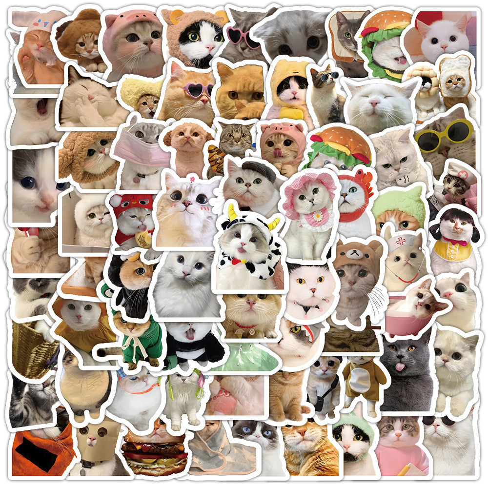 100 ชิ้นแมวน่ารัก Memes สติ๊กเกอร์สมุดภาพกันน้ํา