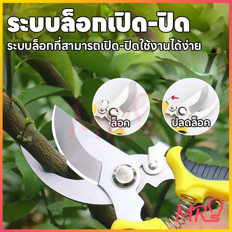 กรรไกรตัดกิ่งไม้ กรรไกรแต่งกิ่งปากโค้ง กรรไกรทำสวน มีหลายสีให้เลือก กรรไกรตัดกิ่ง แบบสเตนเลส รูปที่ 6