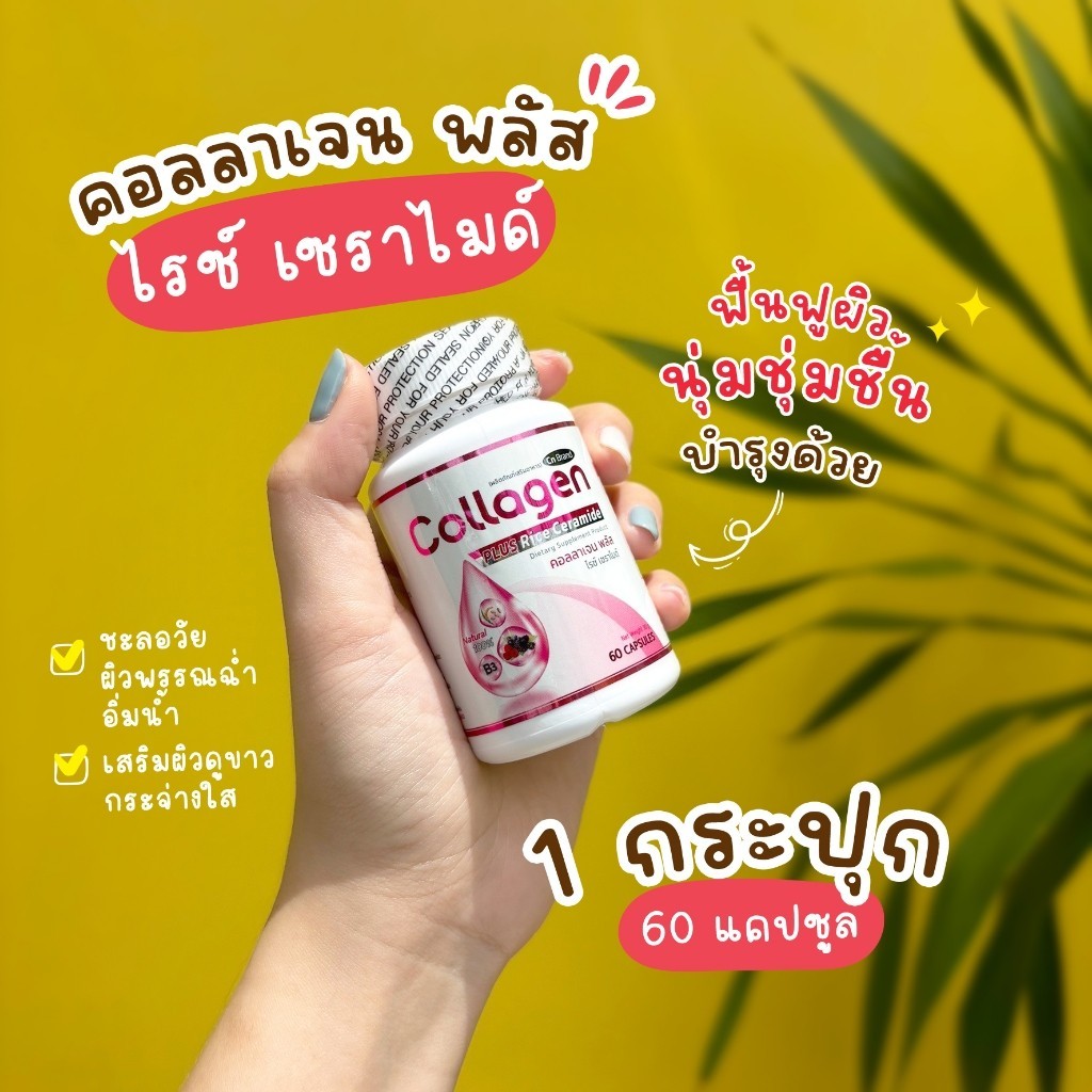 🔥ส่งฟรี ส่งไว🔥CN Collagen Plus คอลลาเจนจากเซราไมด์ที่ได้จากข้าว บำรุงผิวกระจ่างใส | 1 กระปุก 60 แคปซ