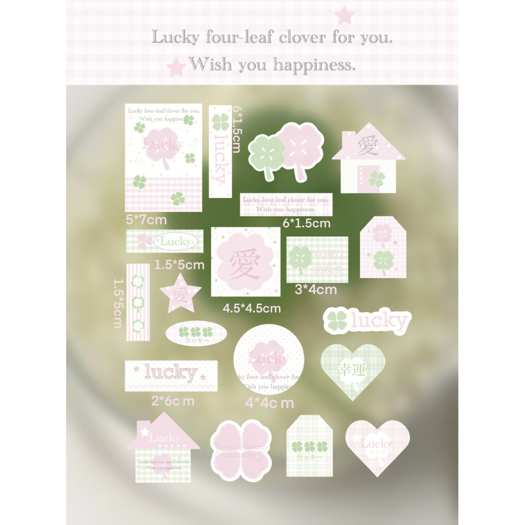 รูปภาพ 6