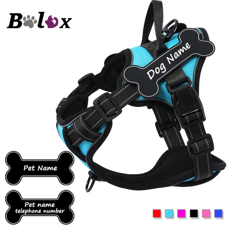 Personalized Dog Harness NO PULL Breathable Pet Harness Vest with Lovely Custom Patch Harness for Sm