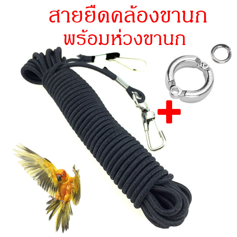 สายเชือกฝึกบิน สายจูงนก พร้อมห่วงขานก สายคล้องห่วงเปิด อย่างดี เหมาะสำหรับนกแก้ว ฟอพัส กรีนชีค