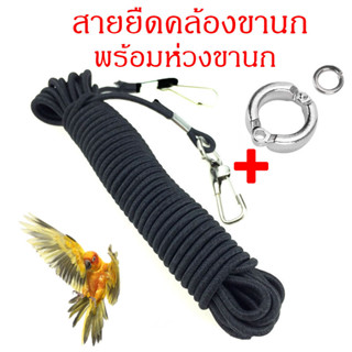 สายเชือกฝึกบิน สายจูงนก พร้อมห่วงขานก สายคล้องห่วงเปิด อย่าง…