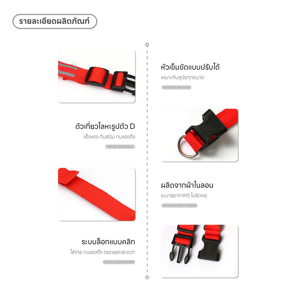 รูปภาพ 3