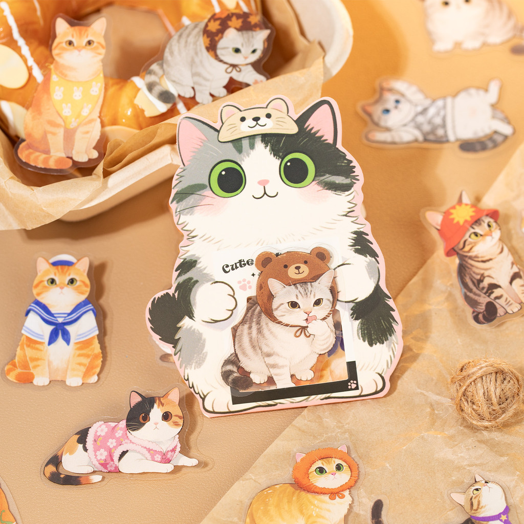 Back To SchoolMr. กระดาษ 30 ชิ้น PET Cat สติกเกอร์แพ็คกันน้ํารูปแบบน่ารักสติกเกอร์สําหรับบัญชีมือ DIY ตกแต่ง Collage ราคา ถูกที่สุด ดีลบีเคเค