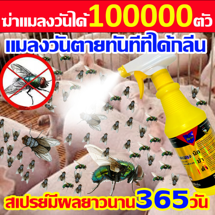 กำจัดแมลงวันอย่างถาวร ยากำจัดแมลงวัน ไม่อันตรายต่อคนและสัตว์เลี้ยง ไล่และฆ่ายุง แมลงวันและแมลงสาบ ยา ฆ่า แมลงวัน ฉีด สเป