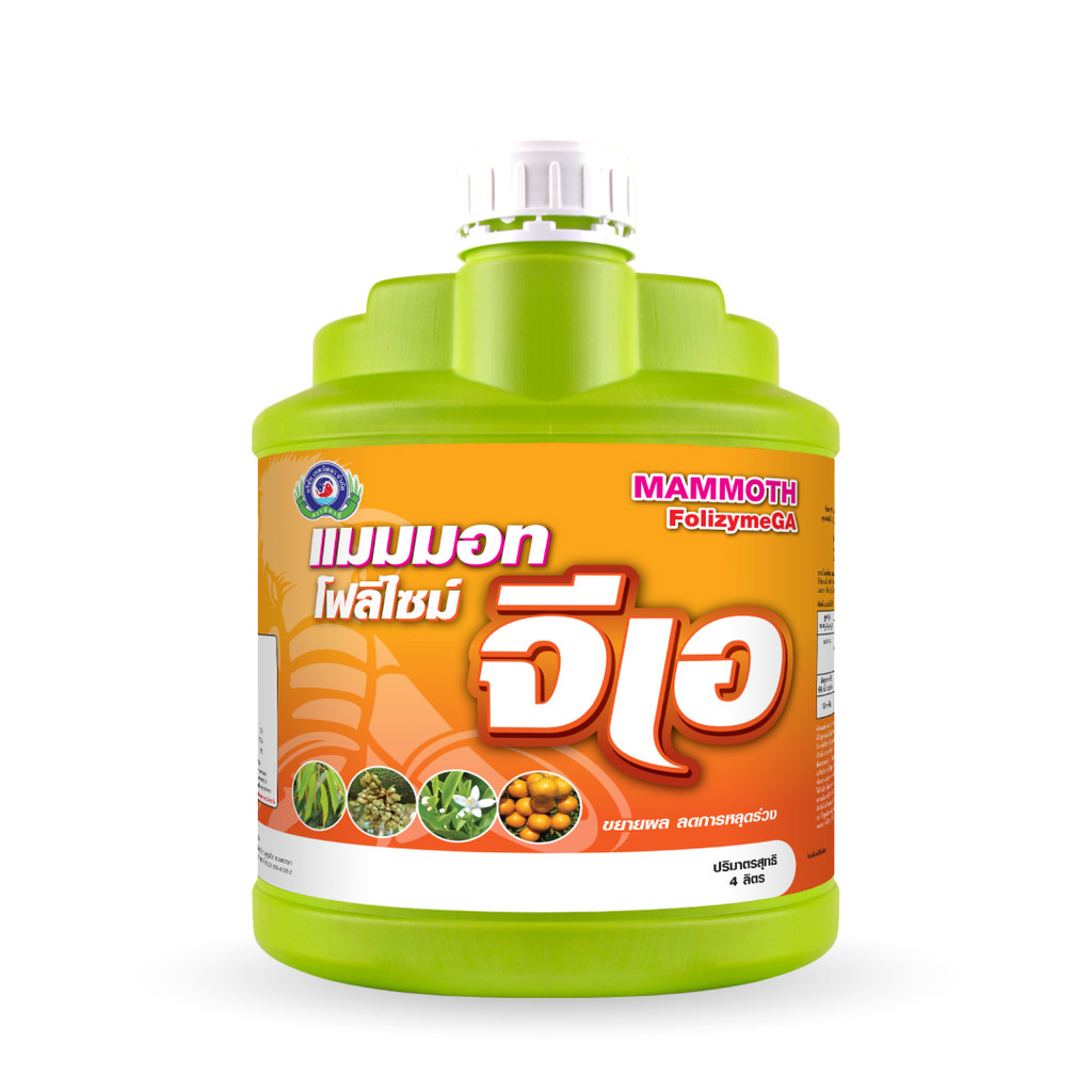(ยกลัง4L*4) แมมมอท โฟลิไซม์ จีเอ (แกลลอน 4 ลิตร) สูตร 0-17-5 ช่วยในเรื่องของการออกดอก ทำให้ดอกไม่ฝ่อ ติดดี #เทพวัฒนา