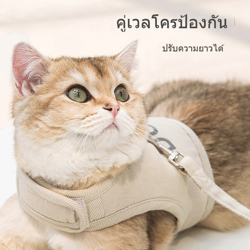 รูปภาพ 3
