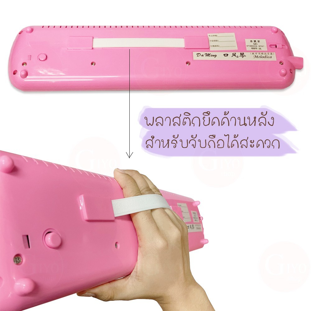 รูปภาพ 2