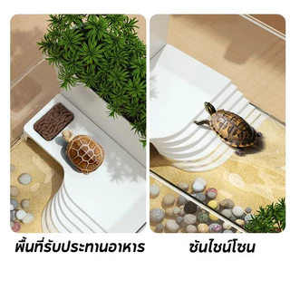 ชุดตู้ปลาตั้งโต๊ะ ครบชุดในกล่อง และโต๊ะอาบแดด อ่างเต่า ด้วยแสง พื้นที่ของสัตว์เลื้อยคลาน ใส คมชัด 360° ไม่มีมุมตาย