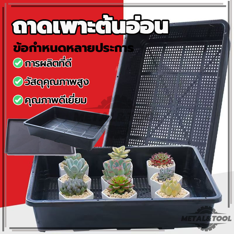 ถาด ทึบ และ เจาะรู ถาดเพาะเมล็ด แยกกล้า ชำหน่อ ถาดปลูกต้นไม้อวบน้ำ เพาะเมล็ด ใช้สำหรับเพาะกล้า