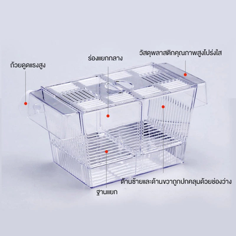กล่องแยกปลา กล่องเพาะพันธุ์ปลา สีใส thumbnail 9