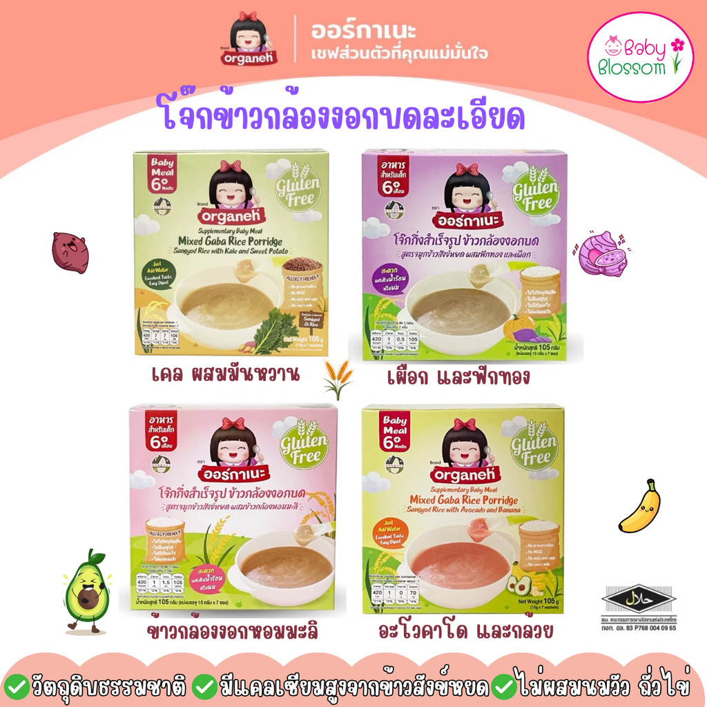 ออร์กาเนะ โจ๊กข้าวกล้องงอกบดละเอียด สำหรับเด็ก 6 เดือนขึ้นไป สูตรจมูกข้าวสังข์หยด Organeh