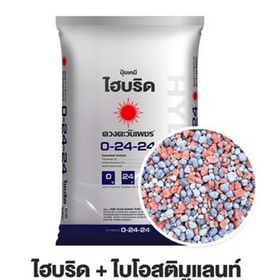 (ยกกระสอบ25kg) ปุ๋ยไฮบริด 0-24-24 สำหรับเปิดตาดอก กดใบไม่มีไนโตรเจน ลดการแตกยอดอ่อน เร่งดอก ดวงตะวัน