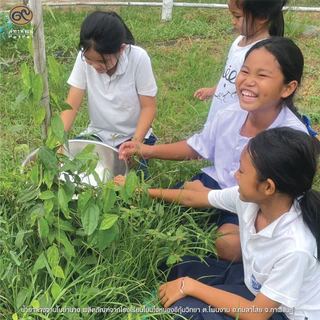 น้ำยาล้างจานจากใบย่านาง (Yanang Leaves Dishwashing Liquid)