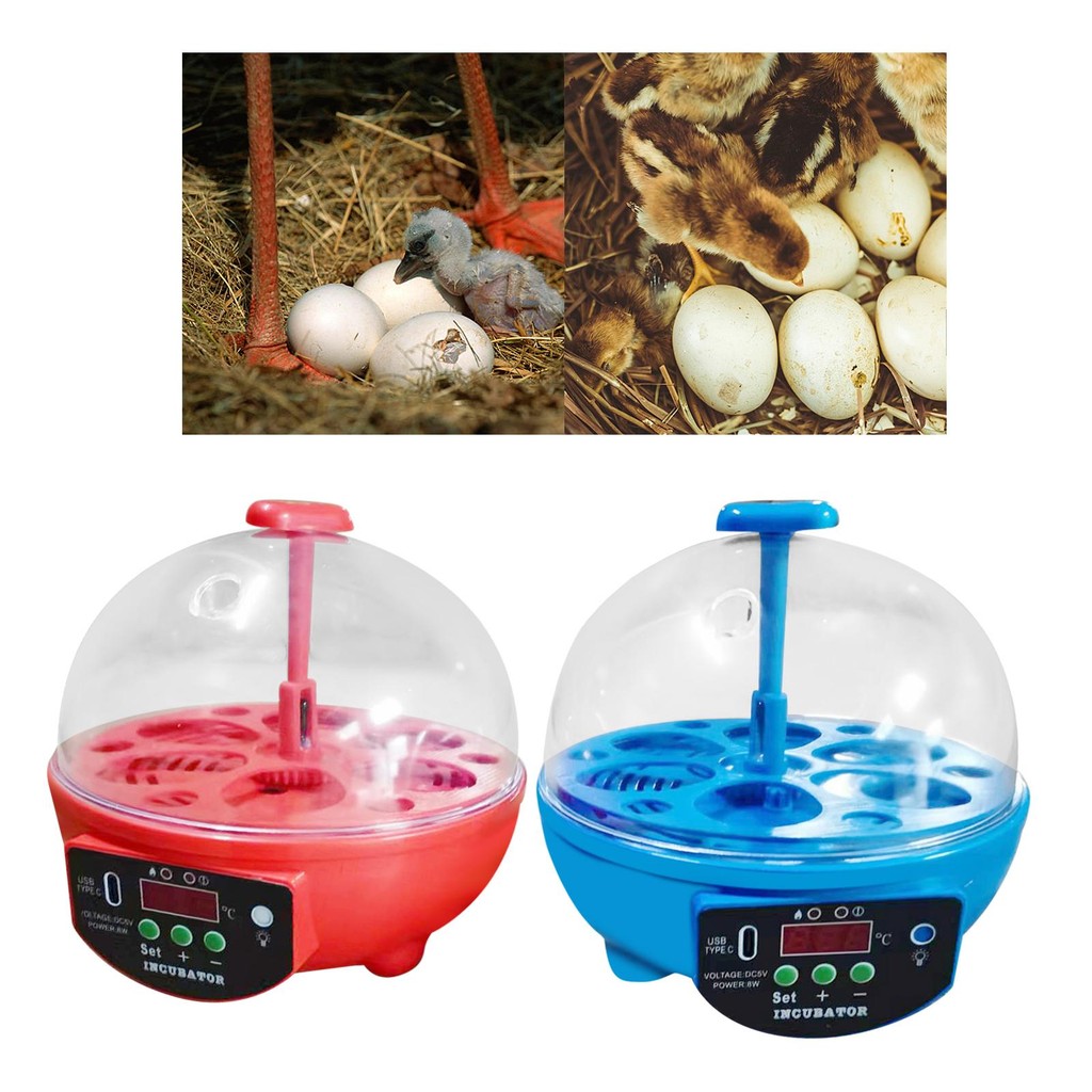 [besteffy1] Usb Egg Manual Egg Turner จอแสดงผล LED ควบคุมอุณหภูมิพร้อมไฟเครื่องฟักไข่ไข่ขนาดเล็กสําหรับนกกระทานกนกพิราบ