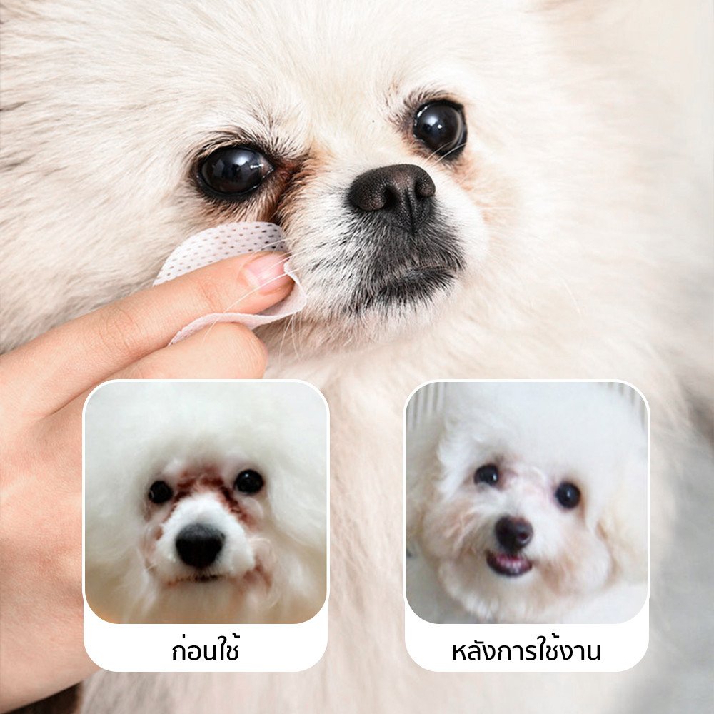 [พร้อมส่ง] ทิชชู่เปียก Pet wipes 80X20แพ็ค แผ่น ผ้าเช็ดตาและหูสัตว์เลี้ยง สำหรับเช็ดสัต ว์เลี้ยง ทิชชู่เปียก COD - รูปที่ 3