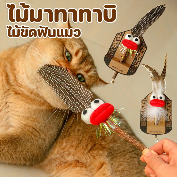 😻COD😻ไม้มาทาทาบิ ไม้แปรงฟันแมว ขัดฟันไม้ ไม้ขัดฟันแมว ของเล่นแมว ก้านมาทาทาบิ