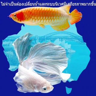 CODน้ำยาปรับสภาพน้ำ จุลินทรีย์ปรับสภาพน้ำใส ดับกลิ่นเหม็น 12 ชั่วโมงใวิน้ำใสขึ้น จุลินทรีบ่อปลา แบบเข้มข้น ละลายอุจจาระ